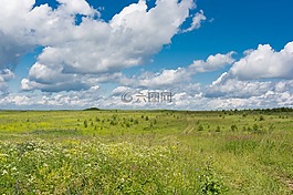 字段,天空,云