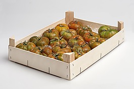 食品,番茄,容器