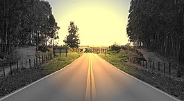 路,瀝青,公路