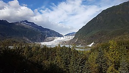 冰川,阿拉斯加州,森林