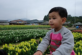 春游,小男孩,孩子