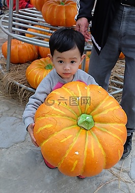 春游,小男孩,孩子