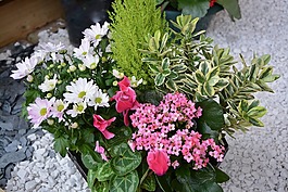 鮮花,插花,事件