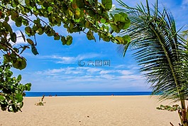 海灘,加勒比,海