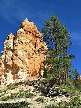 布萊斯峽谷,徒步旅行,橙色