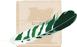 春天,綠色,條帶化