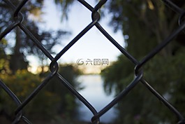 自然,籬笆,外墻