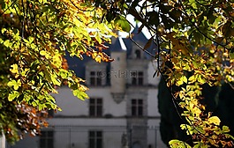 秋天,boitissandeau,標本