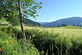 阿爾卑斯山,山,河