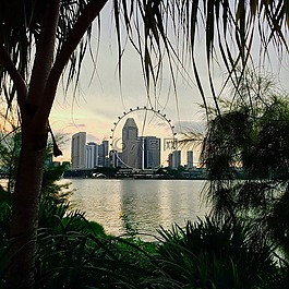 戶外,自然,景觀