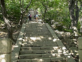 逐步,出现,中国
