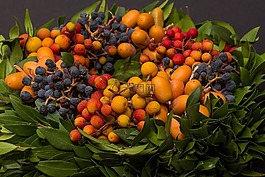 漿果,秋季,秋天的花環(huán)
