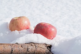蘋果,雪,樹