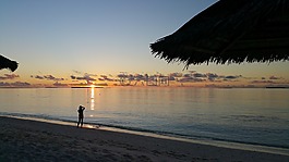 海滩,马尔代夫,海