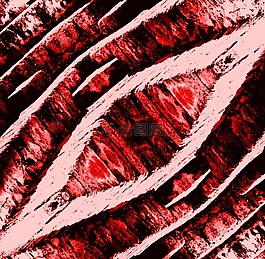 藝術(shù),fotofilter,模式