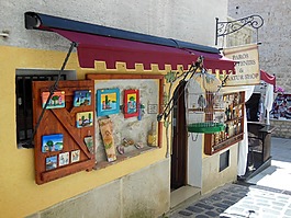 音樂,業(yè)務(wù),鸚鵡