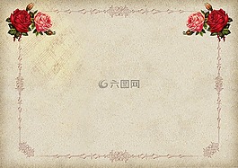 玫瑰,框架,背景圖像