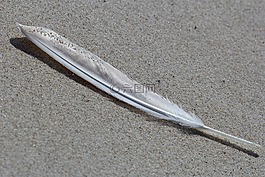春天,性質(zhì),沙