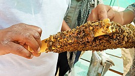 蜜蜂,蜂蜜,蠟