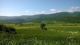 性質(zhì),谷,農(nóng)村