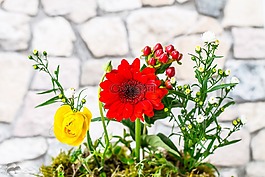 鮮花,前景色,關(guān)閉