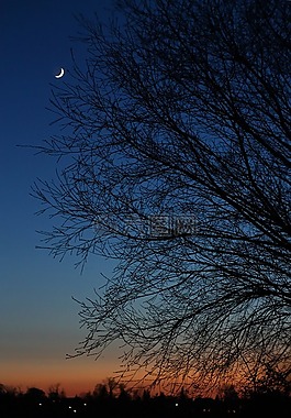 日落,月亮,天空
