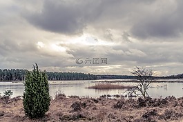 水,河,自然