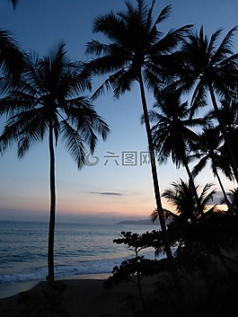 海灘,海,海洋