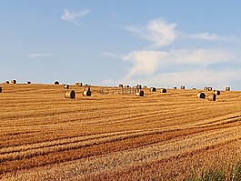 ferragosto,運(yùn)動(dòng),集