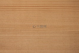 木,結構,基金