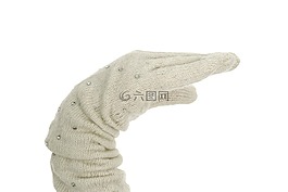 白,手套,埃爾