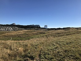 vercors,芒针,山