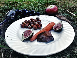 食品,食物,菜