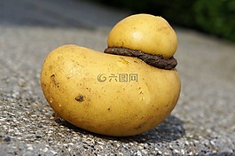 馬鈴薯,黃色,蔬菜