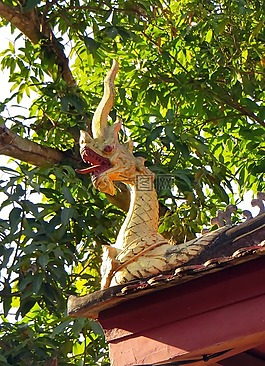 萬(wàn)象,寺,眼鏡蛇