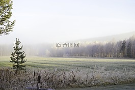 大自然,霧,日出