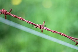 鐵絲網(wǎng),不銹鋼,籬笆