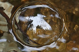 性質(zhì),森林,過獨(dú)身生活