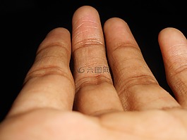 手指,數(shù)字,手