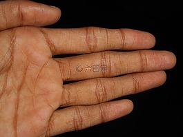 手,數(shù)字,手指