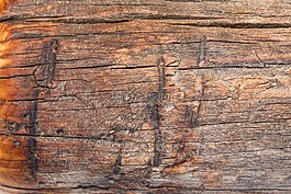 木,結(jié)構(gòu),基金