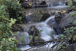 水,性質(zhì),過獨(dú)身生活