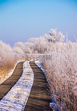 冬天,雪,性質(zhì)