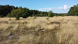 火石場(chǎng),爾根,波羅的海
