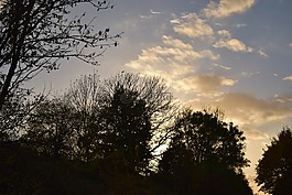 秋季,日落,abendstimmung