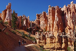 布莱斯,峡谷,石