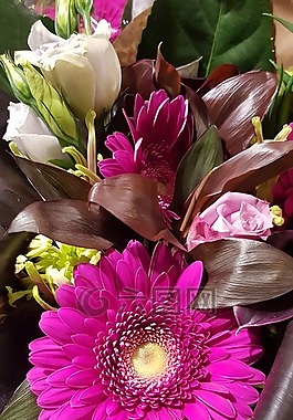 鲜花,安排,德卡