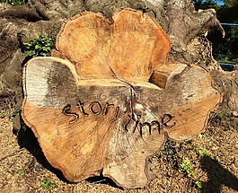 木材,故事,故事时间