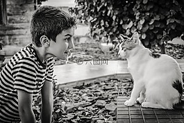 男孩,貓,動物