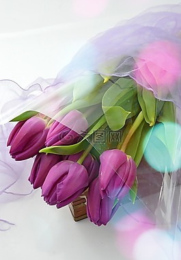 花卉,植物,美麗